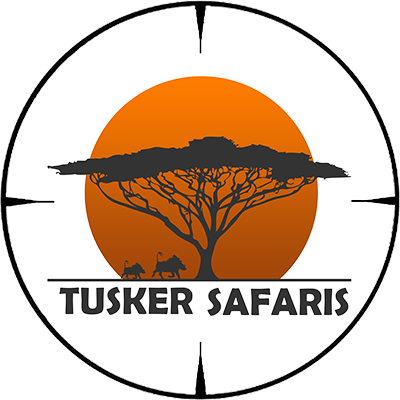 Tusker Safaris